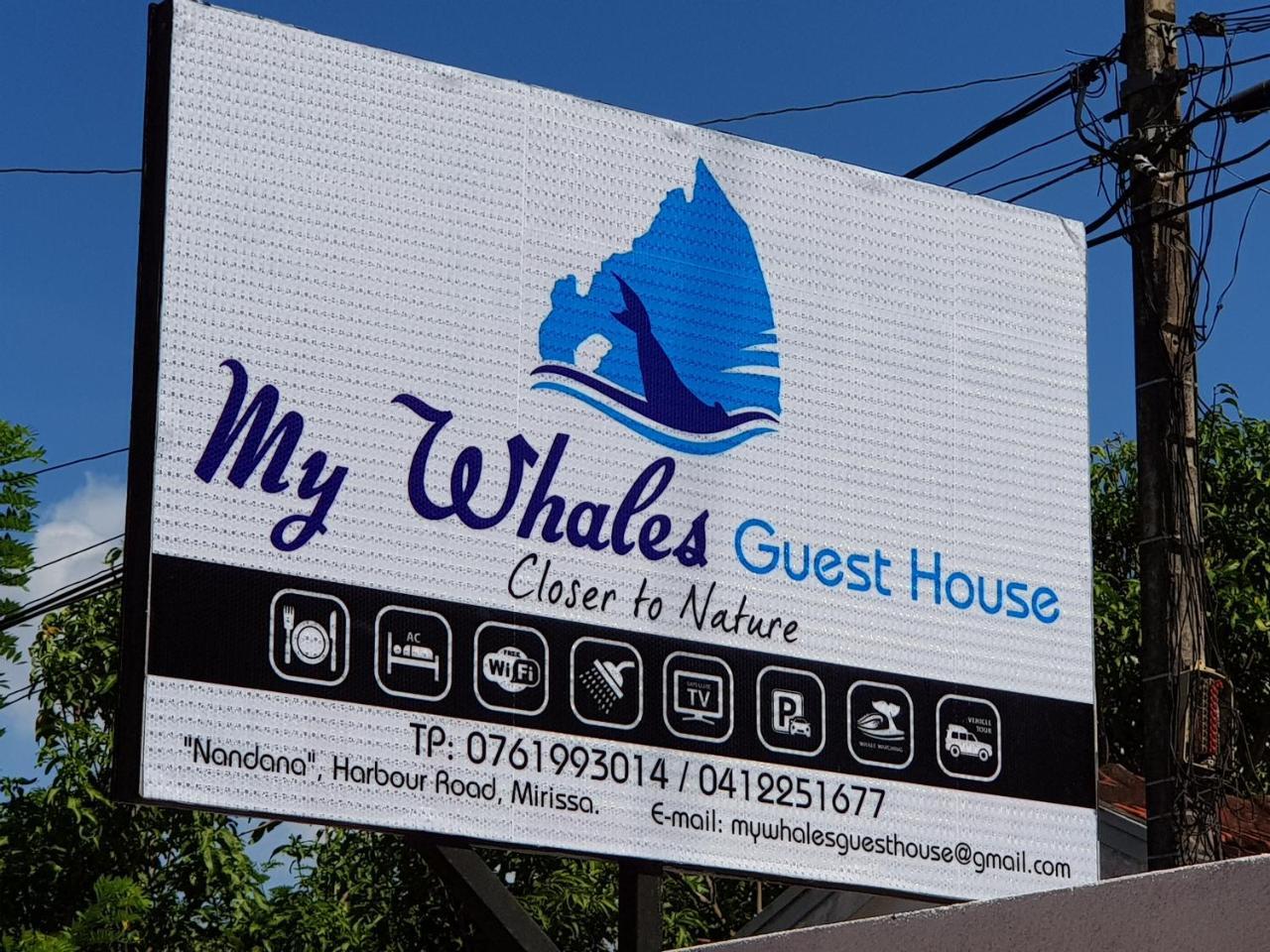 My Whales Guest House Banduramulla Zewnętrze zdjęcie